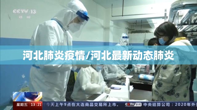 河北肺炎疫情/河北最新动态肺炎 河北肺炎疫情/河北最新动态肺炎