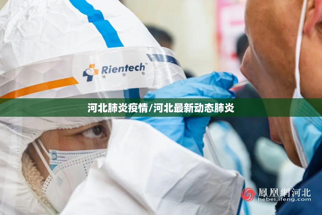 河北肺炎疫情/河北最新动态肺炎 河北肺炎疫情/河北最新动态肺炎