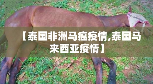 【泰国非洲马瘟疫情,泰国马来西亚疫情】
