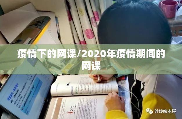 疫情下的网课/2020年疫情期间的网课