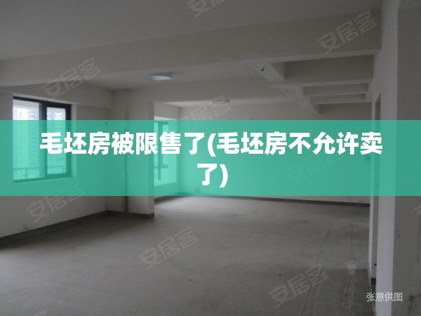 毛坯房被限售了(毛坯房不允许卖了) 毛坯房被限售了(毛坯房不允许卖了)