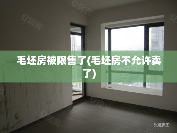 毛坯房被限售了(毛坯房不允许卖了) 毛坯房被限售了(毛坯房不允许卖了)