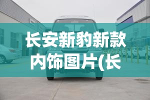 长安新豹新款内饰图片(长安新豹2020款)