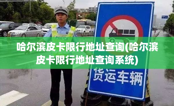 哈尔滨皮卡限行地址查询(哈尔滨皮卡限行地址查询系统)