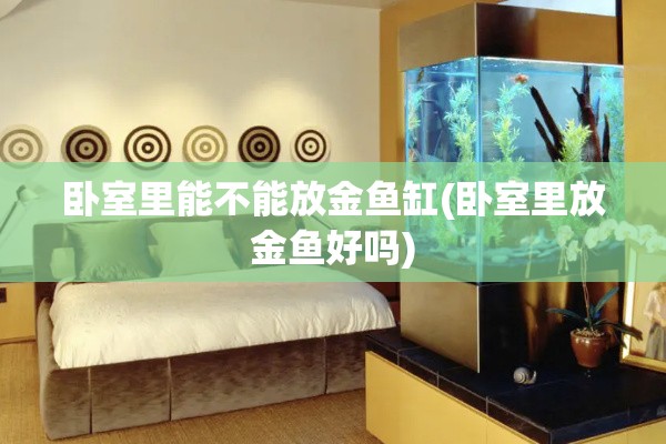 卧室里能不能放金鱼缸(卧室里放金鱼好吗)