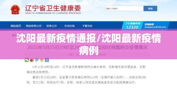 沈阳最新疫情通报/沈阳最新疫情病例 沈阳最新疫情通报/沈阳最新疫情病例