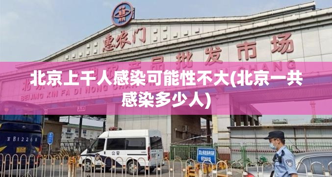 北京上千人感染可能性不大(北京一共感染多少人) 北京上千人感染可能性不大(北京一共感染多少人)