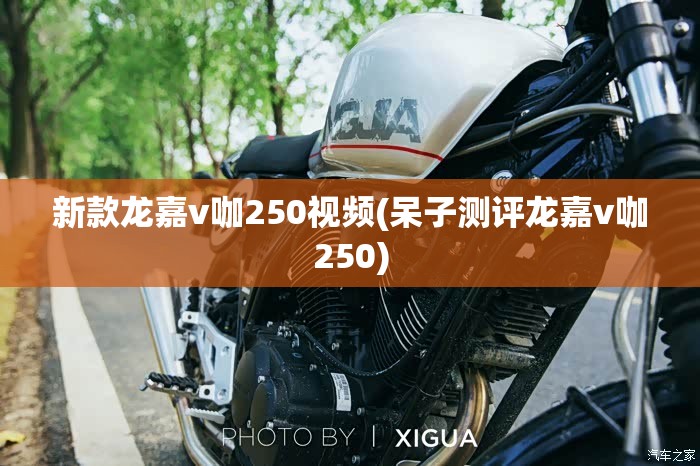 新款龙嘉v咖250视频(呆子测评龙嘉v咖250) 新款龙嘉v咖250视频(呆子测评龙嘉v咖250)