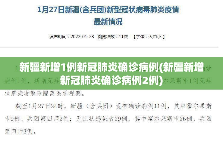 新疆新增1例新冠肺炎确诊病例(新疆新增新冠肺炎确诊病例2例)