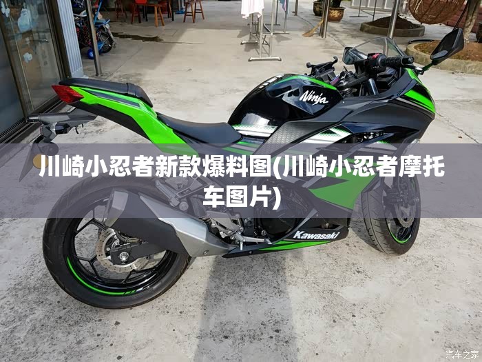 川崎小忍者新款爆料图(川崎小忍者摩托车图片) 川崎小忍者新款爆料图(川崎小忍者摩托车图片)