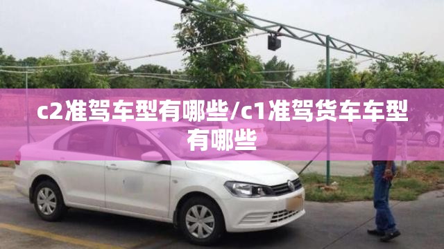 c2准驾车型有哪些/c1准驾货车车型有哪些