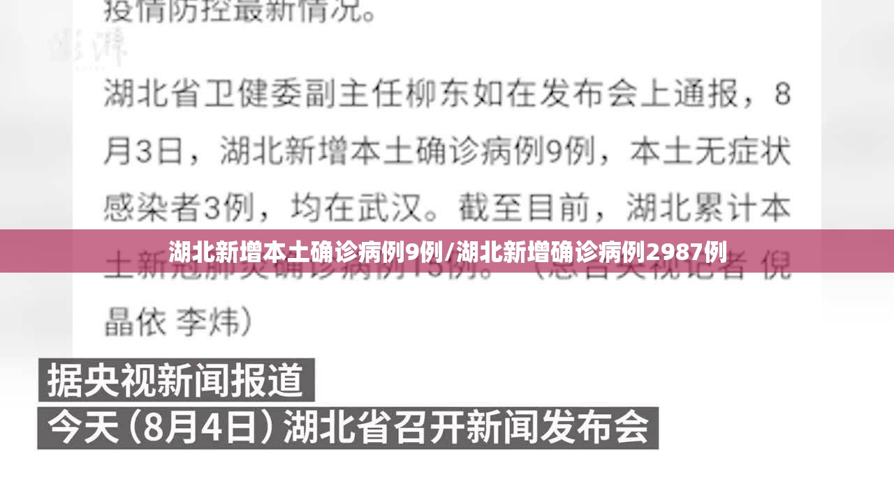 湖北新增本土确诊病例9例/湖北新增确诊病例2987例 湖北新增本土确诊病例9例/湖北新增确诊病例2987例