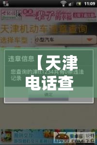 【天津电话查询车辆违章,天津电话查询车辆违章信息】