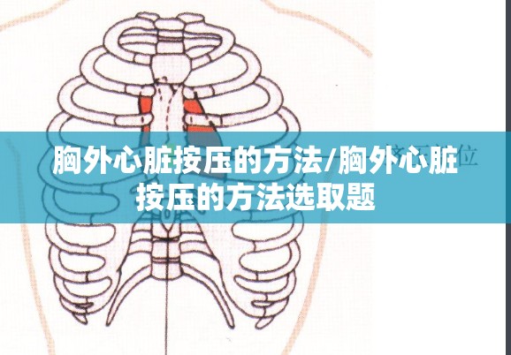 胸外心脏按压的方法/胸外心脏按压的方法选取题 胸外心脏按压的方法/胸外心脏按压的方法选取题