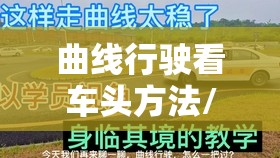 曲线行驶看车头方法/曲线行驶如何看车头