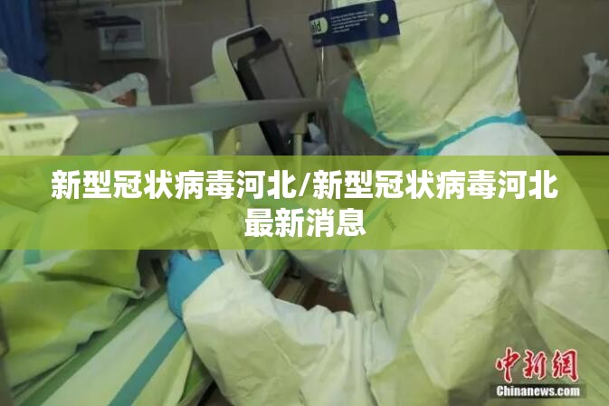 新型冠状病毒河北/新型冠状病毒河北最新消息 新型冠状病毒河北/新型冠状病毒河北最新消息
