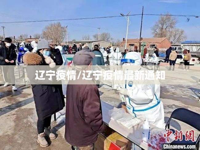 辽宁疫情/辽宁疫情最新通知