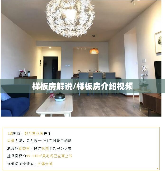 样板房解说/样板房介绍视频