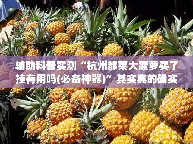 辅助科普实测“杭州都莱大菠萝买了挂有用吗(必备神器)	”其实真的确实有挂