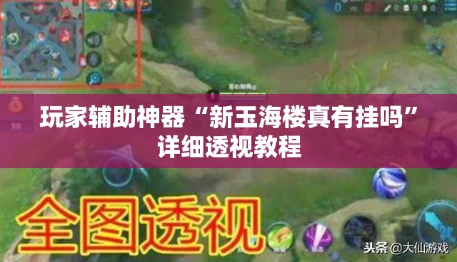 玩家辅助神器“新玉海楼真有挂吗	”详细透视教程