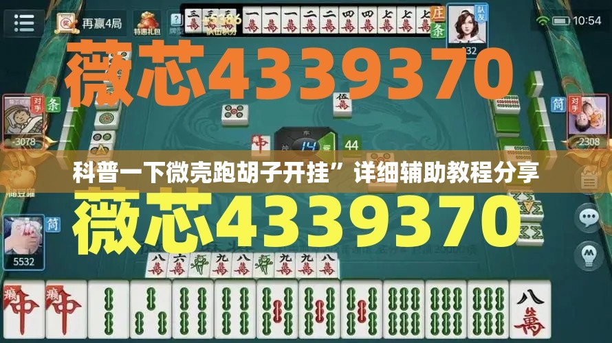 科普一下微壳跑胡子开挂	”详细辅助教程分享