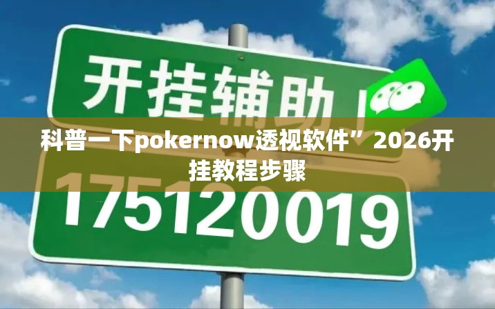 科普一下pokernow透视软件”2026开挂教程步骤