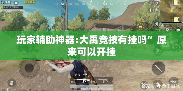 玩家辅助神器:大禹竞技有挂吗”原来可以开挂