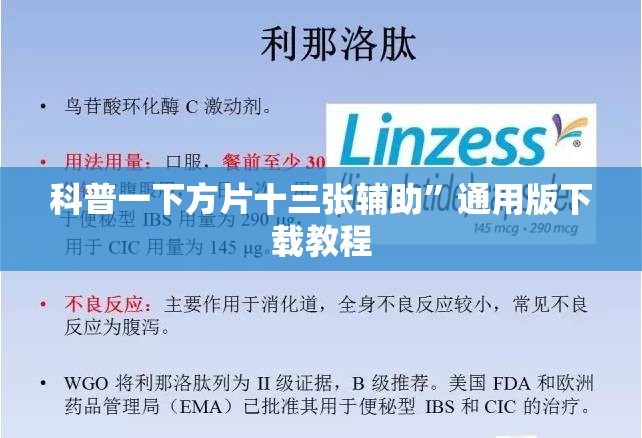 科普一下方片十三张辅助	”通用版下载教程