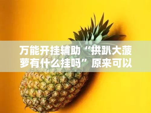 万能开挂辅助“拱趴大菠萝有什么挂吗”原来可以开挂