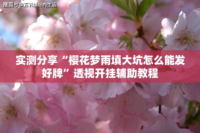 实测分享“樱花梦雨填大坑怎么能发好牌”透视开挂辅助教程
