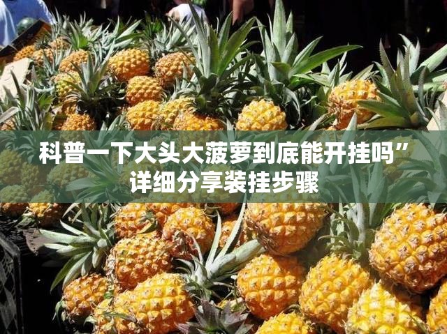 科普一下大头大菠萝到底能开挂吗”详细分享装挂步骤