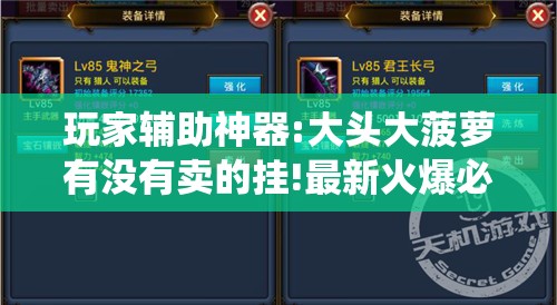 玩家辅助神器:大头大菠萝有没有卖的挂!最新火爆必备系统