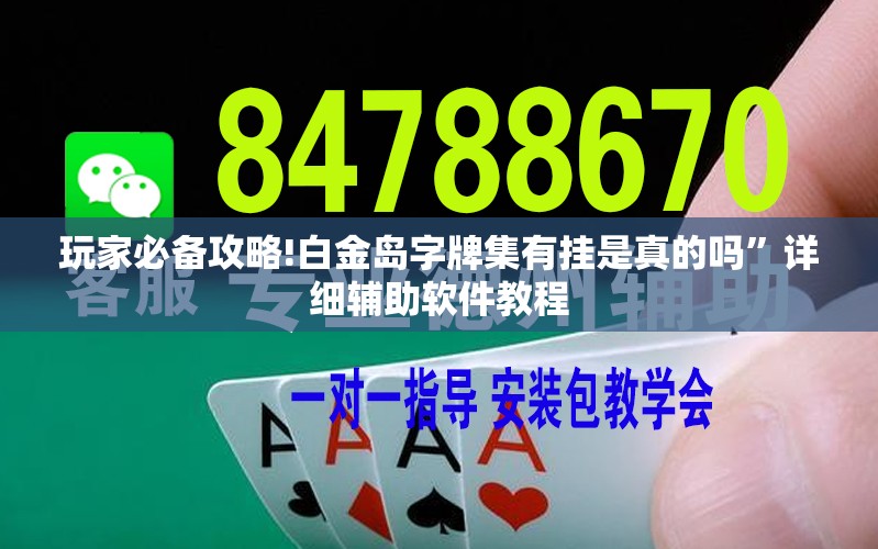 玩家必备攻略!白金岛字牌集有挂是真的吗”详细辅助软件教程