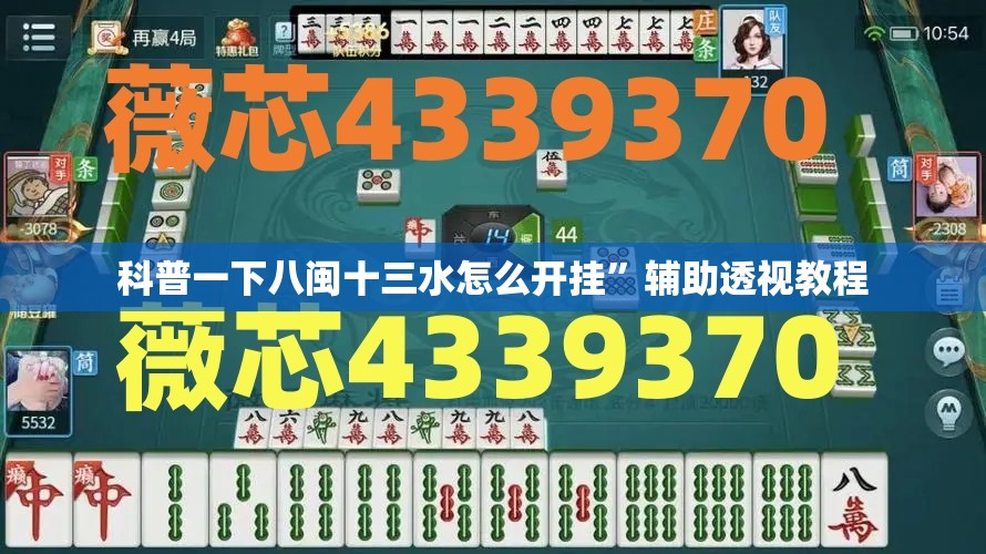 科普一下八闽十三水怎么开挂”辅助透视教程