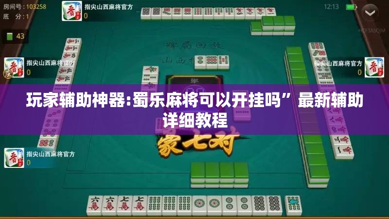 玩家辅助神器:蜀乐麻将可以开挂吗”最新辅助详细教程
