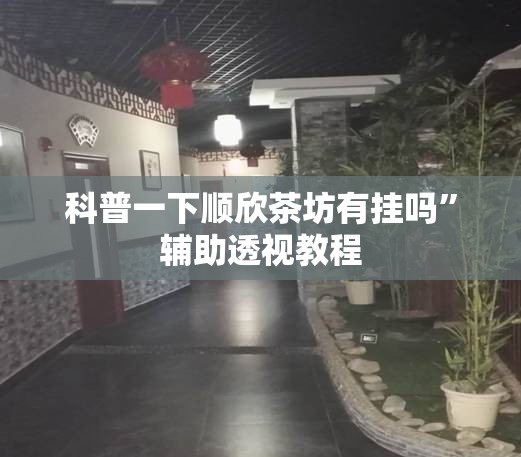 科普一下顺欣茶坊有挂吗	”辅助透视教程