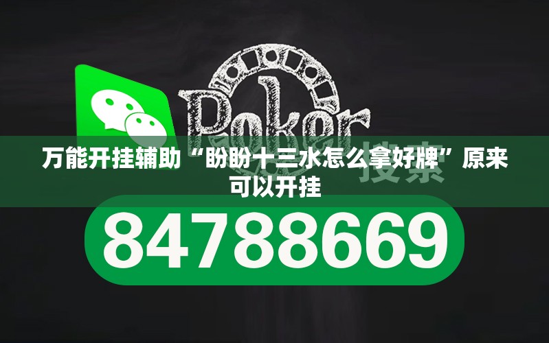 万能开挂辅助“盼盼十三水怎么拿好牌	”原来可以开挂
