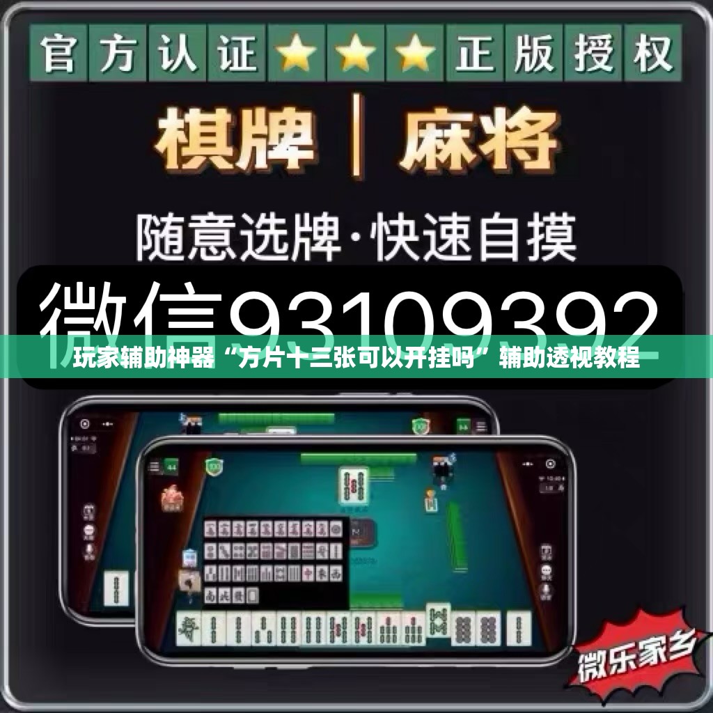 玩家辅助神器“方片十三张可以开挂吗	”辅助透视教程