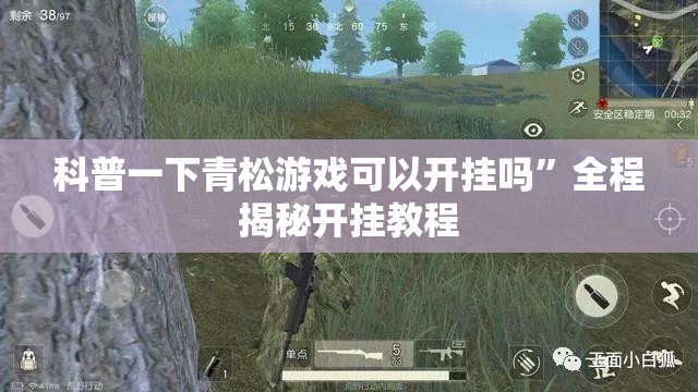 科普一下青松游戏可以开挂吗	”全程揭秘开挂教程
