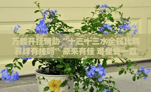 万能开挂辅助“十三十三水全民比鸡喜牌有挂吗”原来有挂 难怪会一直输