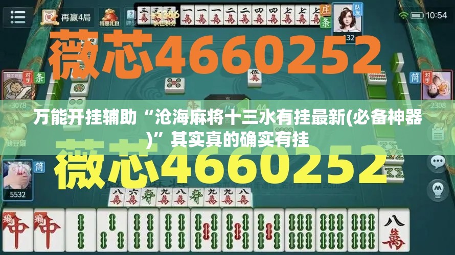 万能开挂辅助“沧海麻将十三水有挂最新(必备神器)	”其实真的确实有挂