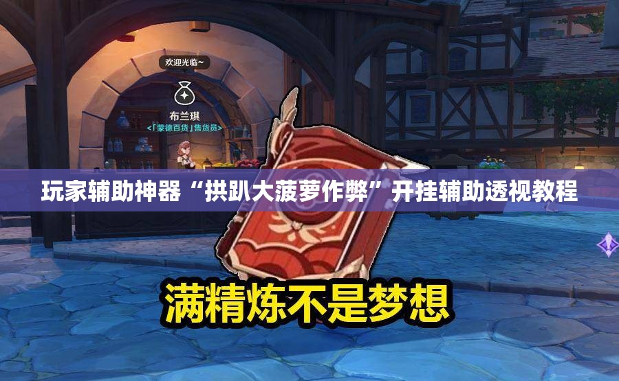 玩家辅助神器“拱趴大菠萝作弊”开挂辅助透视教程
