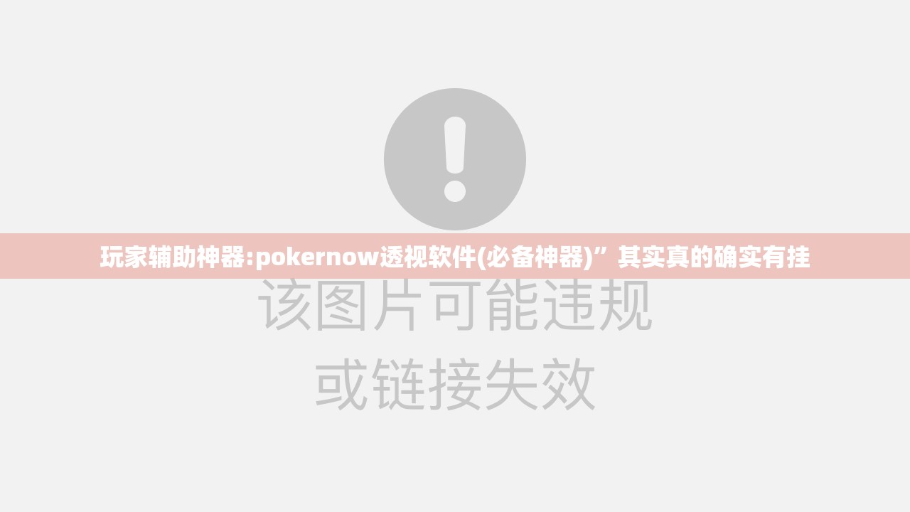 玩家辅助神器:pokernow透视软件(必备神器)	”其实真的确实有挂