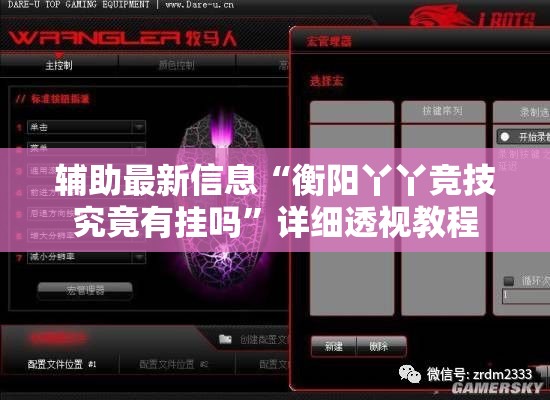 辅助最新信息“衡阳丫丫竞技究竟有挂吗”详细透视教程