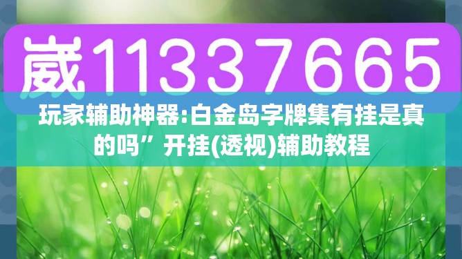 玩家辅助神器:白金岛字牌集有挂是真的吗”开挂(透视)辅助教程