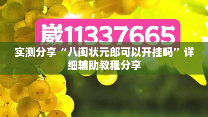 实测分享“八闽状元郎可以开挂吗	”详细辅助教程分享