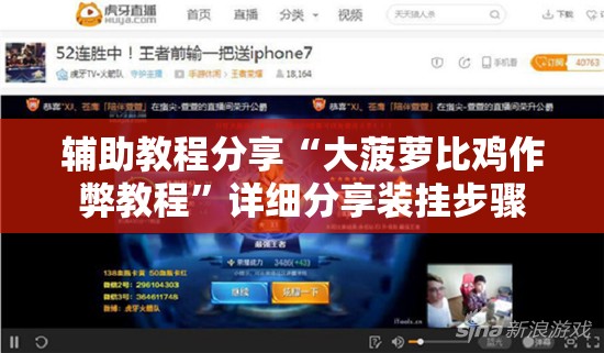 辅助教程分享“大菠萝比鸡作弊教程	”详细分享装挂步骤