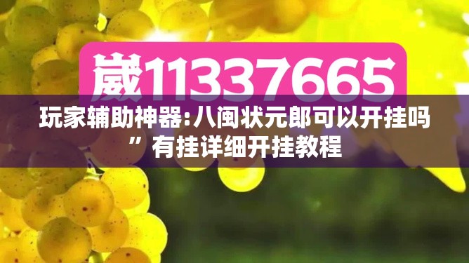 玩家辅助神器:八闽状元郎可以开挂吗”有挂详细开挂教程