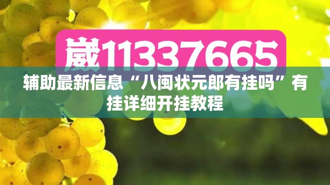 辅助最新信息“八闽状元郎有挂吗”有挂详细开挂教程