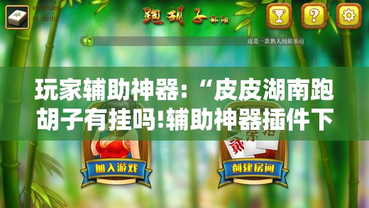 玩家辅助神器:“皮皮湖南跑胡子有挂吗!辅助神器插件下载